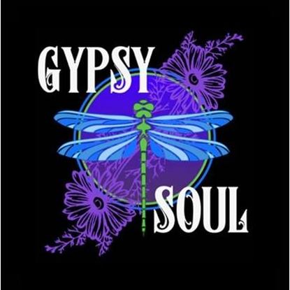 洋書 Vibrational Raindrop Technique Vibrational Raindrop Technique by Christi Bonds-Garrett